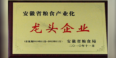 安徽糧食產(chǎn)業(yè)化龍頭企業(yè)